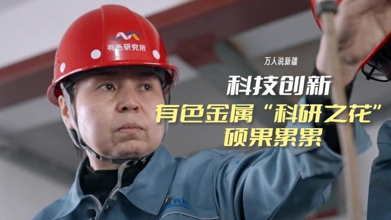 OA协同办公自动化分类详解：功能与场景深度剖析